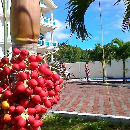 Luxor Residence Guesthouse Бель Мар Экстерьер фото