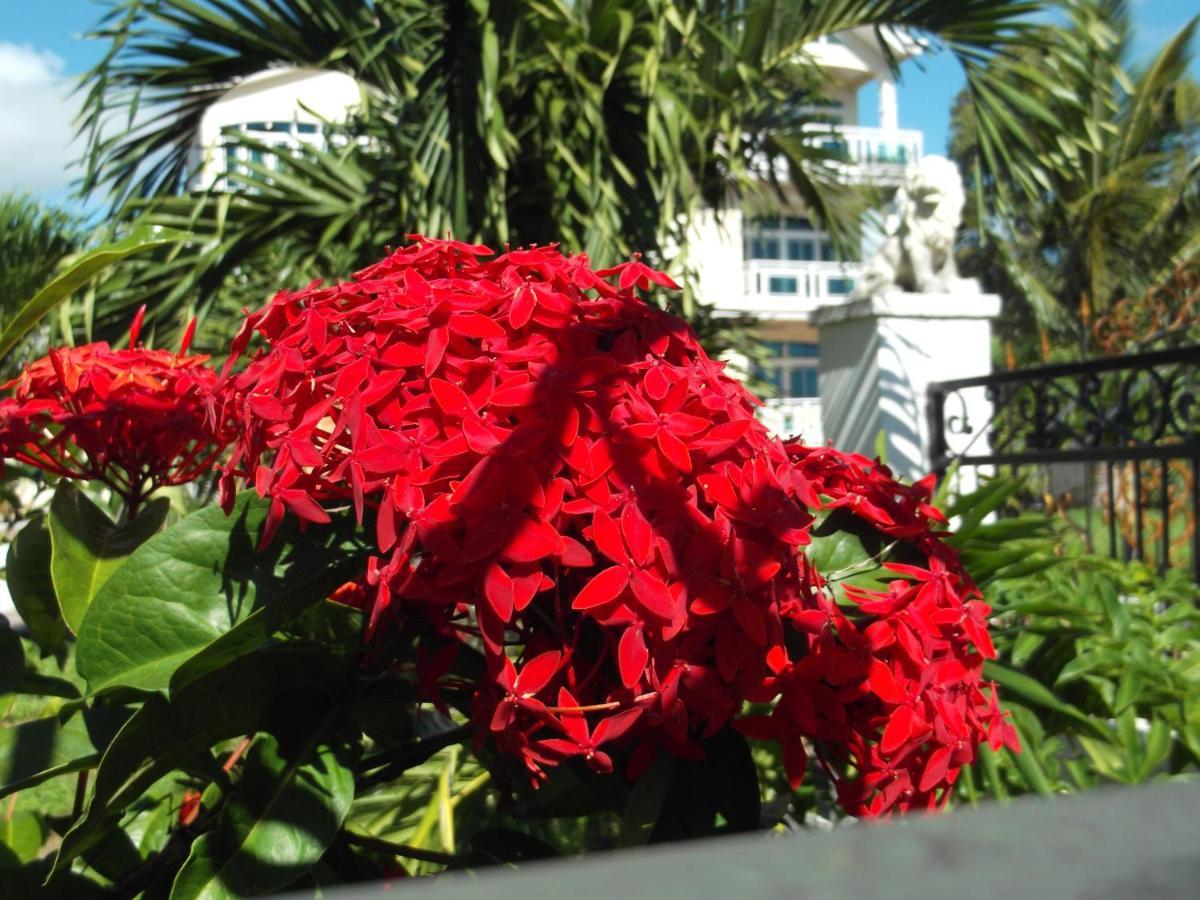 Luxor Residence Guesthouse Бель Мар Экстерьер фото