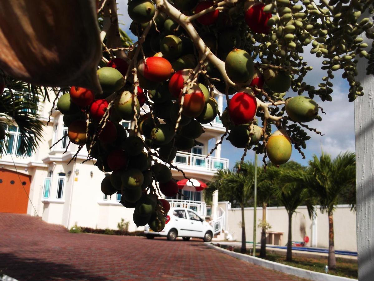 Luxor Residence Guesthouse Бель Мар Экстерьер фото